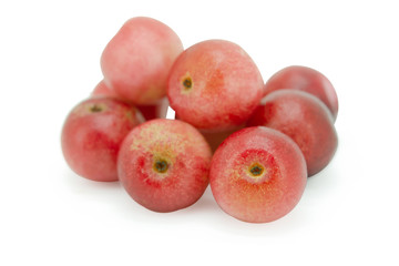 antidesma, thwaitesianum, isolated, background with clipping path