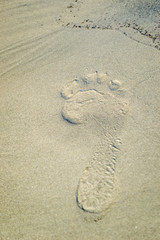 Fototapeta na wymiar A footprint in the sand on the beach