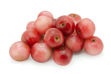 antidesma, thwaitesianum, isolated, background with clipping path