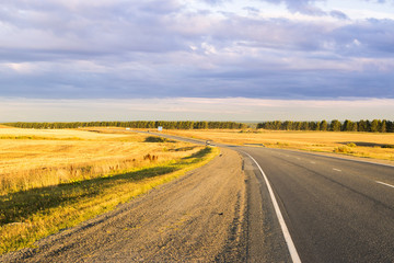 Empty autumn road in golden wheat field