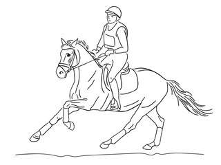 Horse and rider at the equestrian competitions