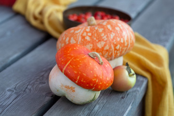 Pumpkins on the old wooden background with apple, yellow fabric and a bowl with rosehip. Autumn arrangement of fall harvest. Selective focus.