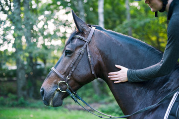 Obraz premium Equestrian lady's hand stroking dark horse neck