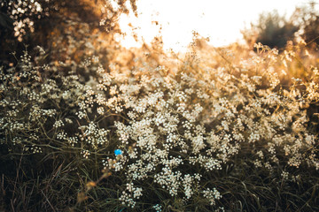 Пейзаж закат природа