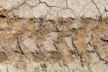 Embossed Wheel Tracks Into Rural Dirt Road