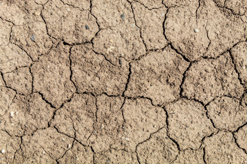 Dry and Cracked Dirt Road Texture