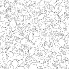 Seamless floral pattern background outline black on white lilac flower