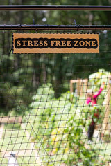 Obraz premium Organic Garden is Stress Free Zone 