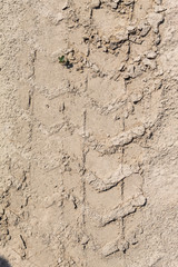 Embossed Wheel Tracks Into Rural Dirt Road