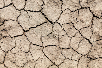 Dry and Cracked Dirt Road Texture