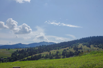 Fototapeta na wymiar Carpathian landscapes. Meadows, hills, forests and mountains of the Carpathians.
