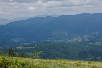 Fototapeta na wymiar Carpathian landscapes. Meadows, hills, forests and mountains of the Carpathians.