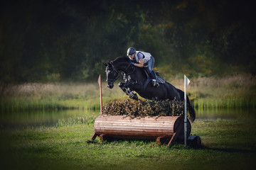 portrait of black horse with woman rider jumping over obstacle during eventing cross country...