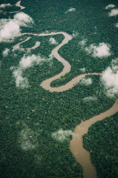 Aerial view of Amazon river