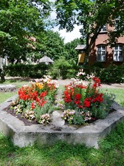 Fototapeta na wymiar Blumenbeet im Dorf mit Haus