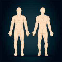 Male body. Hand drawn male body set. Men body front and back view isolated vector illustration. Male naked full length figure sketch drawing. Part of set.