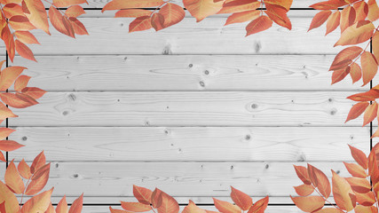 Herbst - herbstlicher Hintergrund bunte Laubblätter auf weißem Holz 