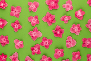 Springtime floral greeting card template.