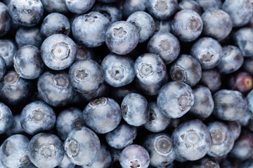 Fresh blueberry background. Texture blueberry berries close up.