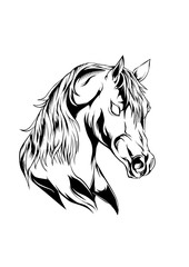 horse head vector