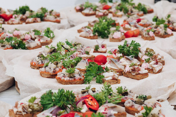 Selective focus of delicious appetizers. Tasty bruschetta with meat and parsley staying on table. Yummy delicatessen serviced on plate. Concept of food, menu and snacks.