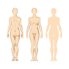 Female body. Hand drawn female body set. Woman body front and back view isolated vector illustration. Woman naked full length figure sketch drawing. Part of set.