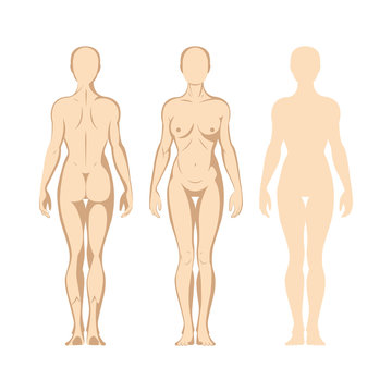 Female body. Hand drawn female body set. Woman body front and back view isolated vector illustration. Woman naked full length figure sketch drawing. Part of set.