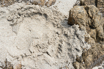 Footprint in the sand
