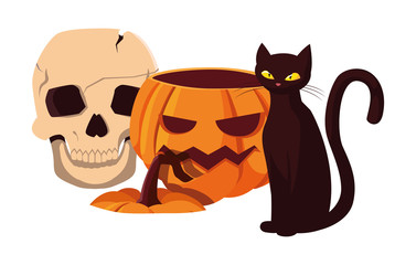 pumpkin cat happy halloween celebration