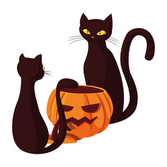 pumpkin cat happy halloween celebration