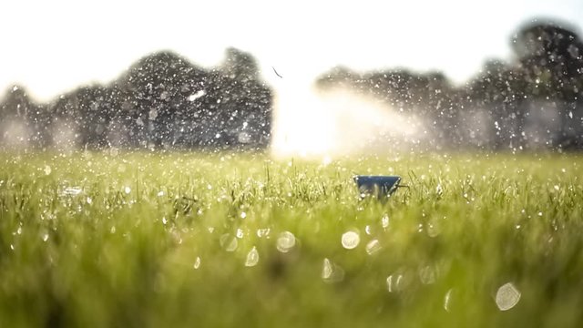 Golf club hits a golf ball in a super slow motion. Drops of morning dew and grass particles rise into the air after the impact.