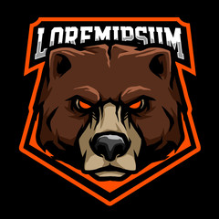 bear e sport team logo