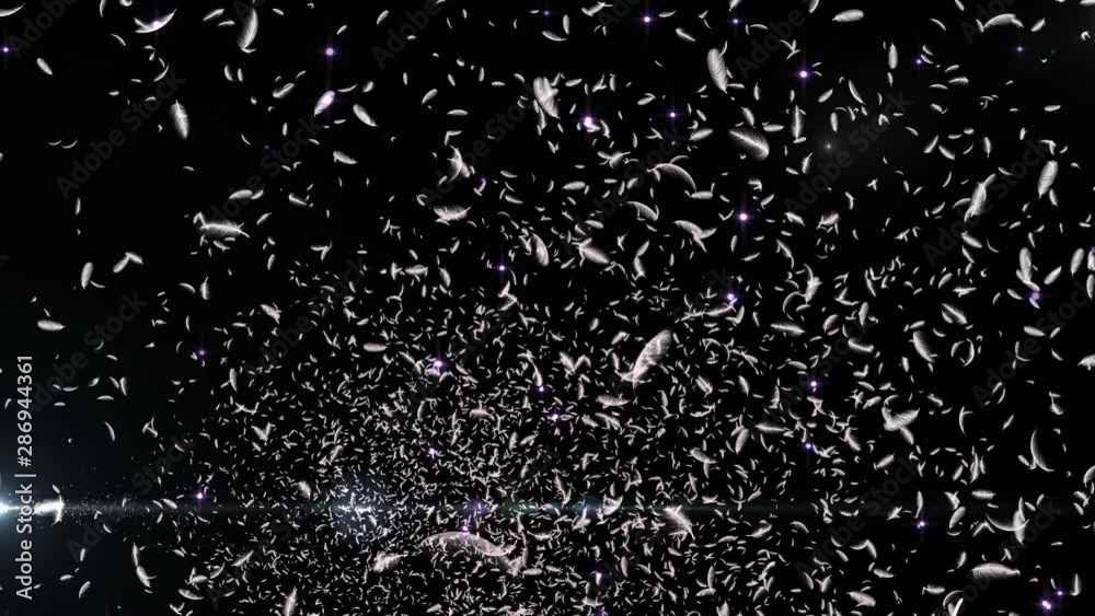 Canvas Prints feather fluffy and lens flares particles background