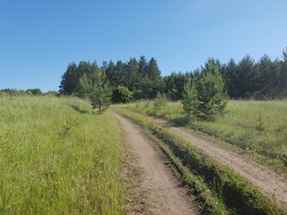 Fototapeta na wymiar Summer rural landscape in Russia