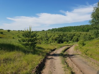Fototapeta na wymiar Summer rural landscape in Russia