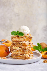 Cake with apricots and walnuts, cut in squares. Served with vanilla ice cream and mint leaf. Delicious homemade sweet dessert. And blank space for text.