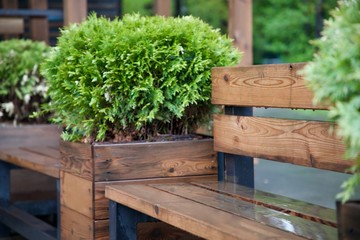  bench park relax bushes 