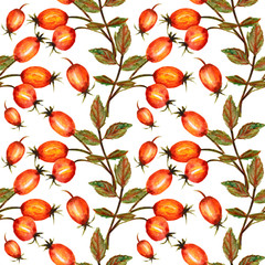 Seamless pattern Beautiful branch of Dog rose with three red berries and green leaves. Watercolor painting, isolated on white background.