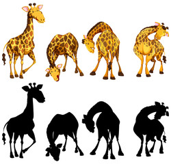 Silhouette, color and outline version of four giraffes