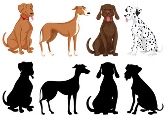 Silhouette, color and outline version of dogs isolated