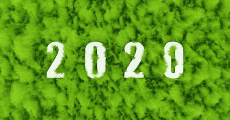 Mot 2020 sur fond d'herbe, écologie