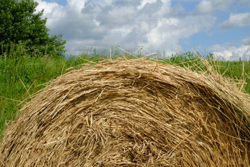 Fototapeta na wymiar bales of hay