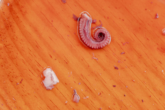 Restos de raci&oacute;n de pulpo &aacute; feira, Galicia.