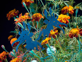 Fototapeta na wymiar Marigolds lat. Tagétes.Beautiful blooming marigolds.Decorated with figures of garden fairy.On black background