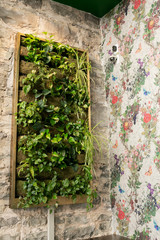 Vertical plant wall on floral wallpaper