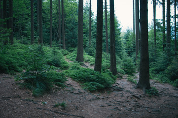 Backpacking in Beskydy mountains, the most favourite places