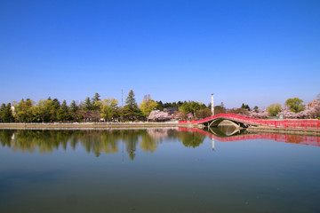 Obraz premium 春の開成山公園（福島県・郡山市）