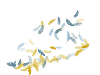 Falling feather elements soft vector design.