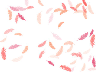 Flying feather elements airy vector design.