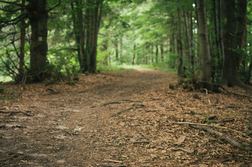 Backpacking in Beskydy mountains, the most favourite places